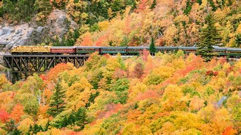 Scenic train ride offers epic views of fall colours near Toronto