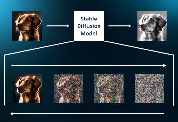 train a diffusion model