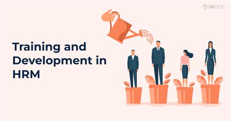 Chapter 7 Training And Development