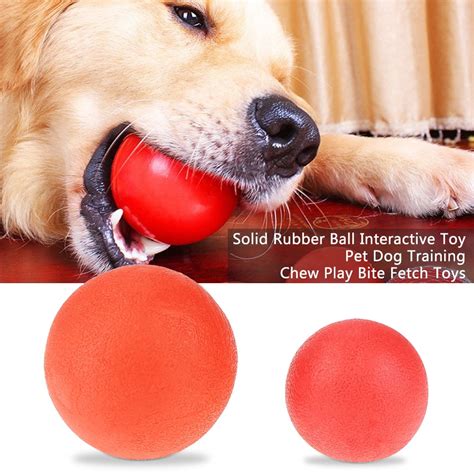 training ball for dogs