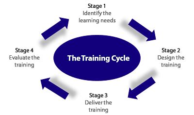 Training Cycle Explained
