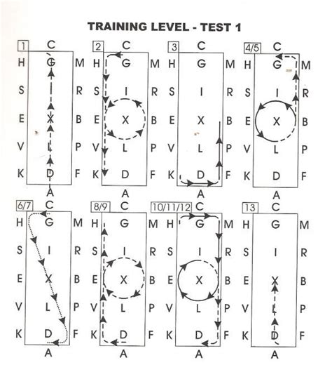 training level test 1 2023