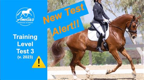 Training Level Test 3 PDF Horse Gait Dressage