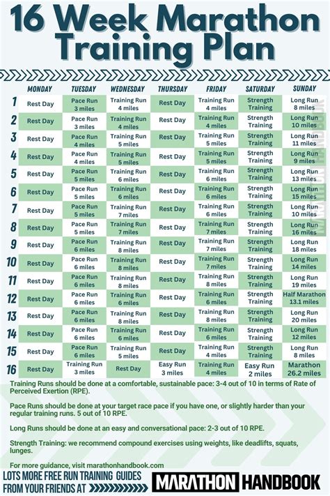 Training Program Guide