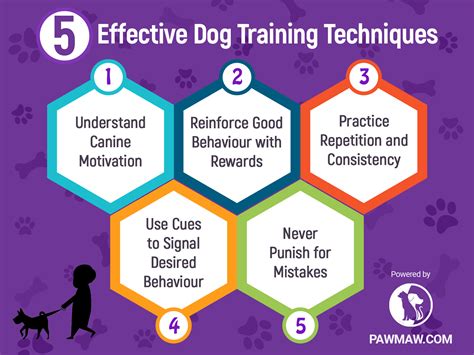 Training Techniques for Success