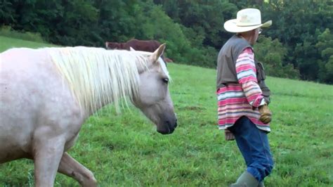 training the hard to catch horse in pasture