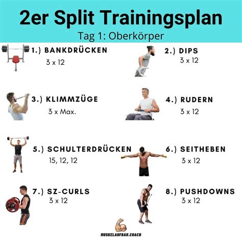Muskelaufbau Trainingsplan 2er, 3er, 4er Split oder für