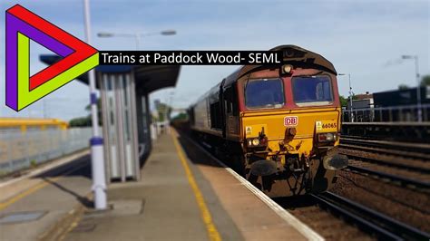 trains paddock wood to london bridge