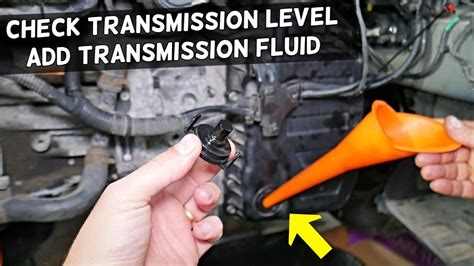 Trans Fluid 2012 Traverse