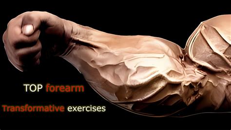 Image of Transformative Exercises