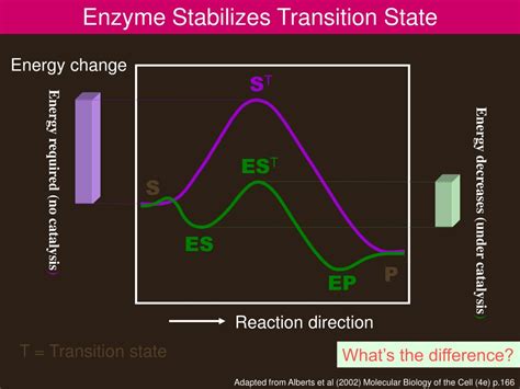 transition state structure of enzyme
