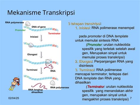 Transkripsi