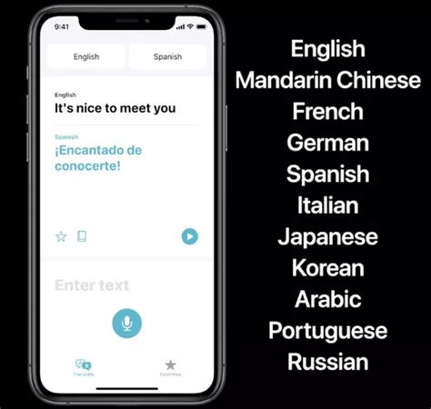 Translate App on iOS 14