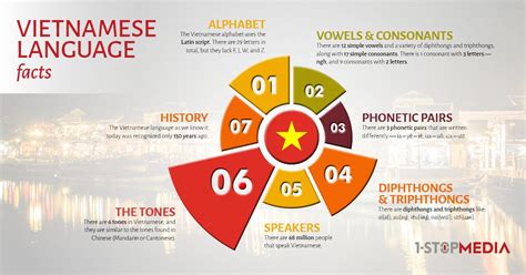 translation services in vietnam