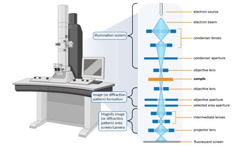 Transmission Electron Microscope Instrumentation