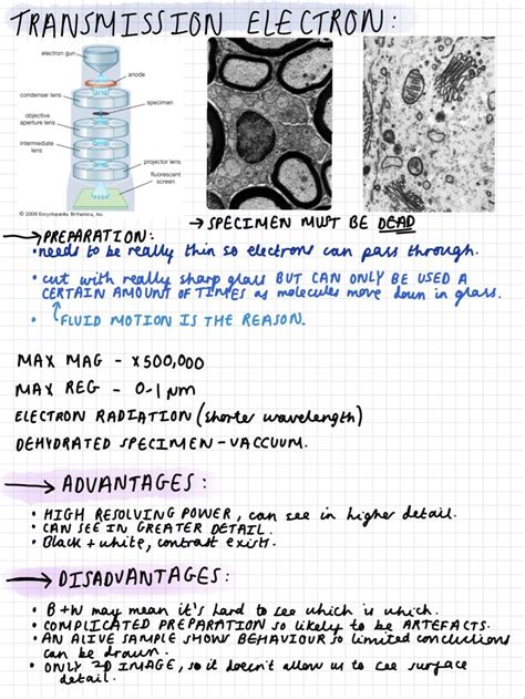 Transmission Electron Microscopy Lecture Notes