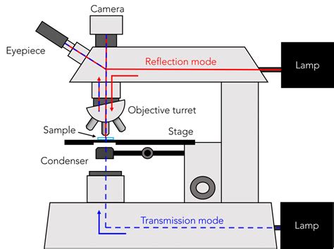 Transmission Vs Reflection Microscopy