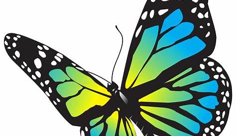 Butterfly Clip art - Transparent Butterfly Decorative Clipart png