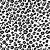 transparent leopard print