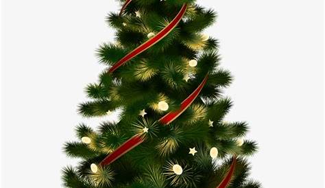Christmas Tree PNG Pic | PNG Mart