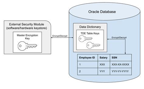 Powered by Oracle Oracle APEX