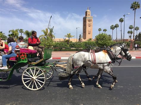 transportation in marrakech