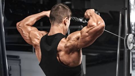 Trap Exercises With Rope