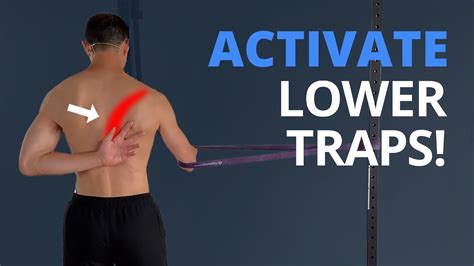 Trapezius Exercises With Bands