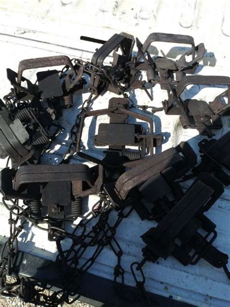 trapperman com forum