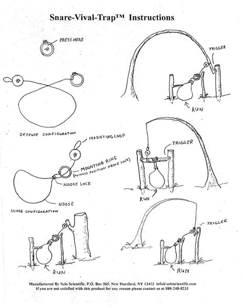 Traps and Snares in Business: Unveiling the Hidden Obstacles to Success