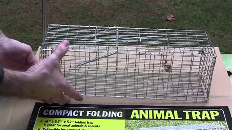 Traps At Harbor Freight