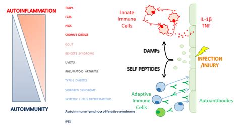 Traps Autoimmune Disease