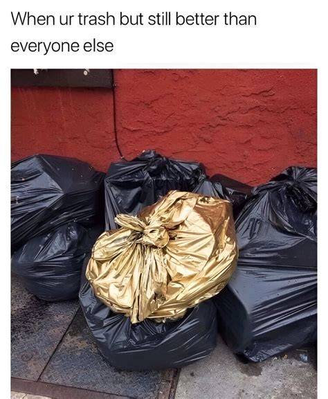 TRASH PANDA TRASH PANDA Evil Raccoon Meme