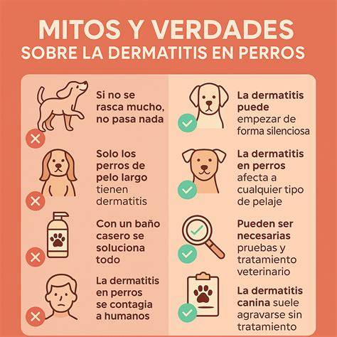 SharPei DERMATITIS BACTERIOSA