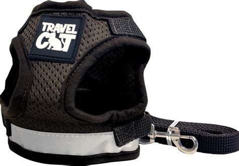 Travel Cat Harness: The Ultimate Guide For Safe And Fun Adventures