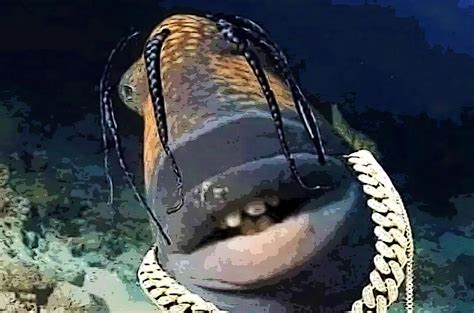 travis scott as fish