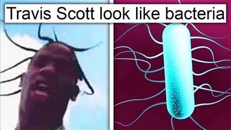 travis scott looks like bacteria