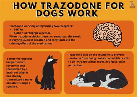 trazodone 50 mg for dogs side effects