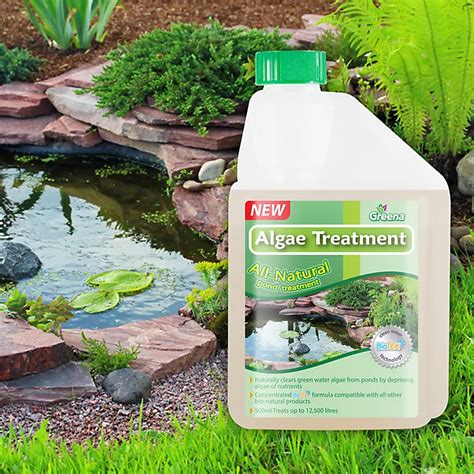 treat pond algae