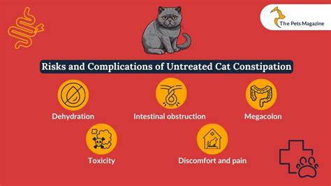 treating constipation in cats