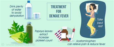 treatment for dengue fever virus