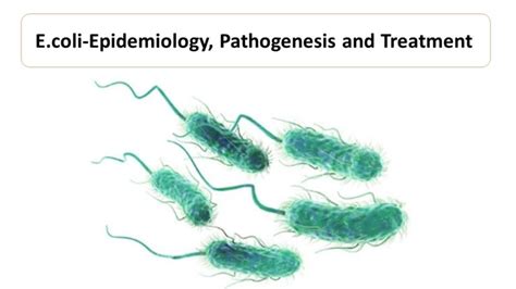 treatment for enterotoxigenic e coli