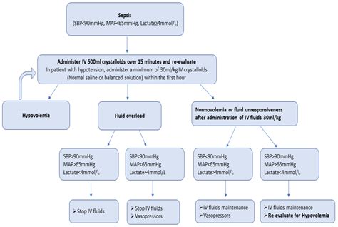 treatment for sepsis in adults