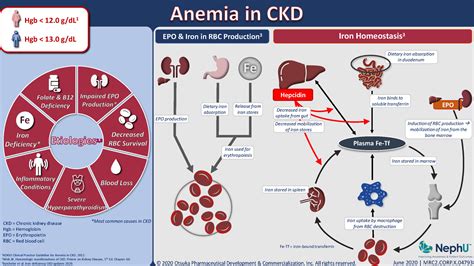treatment of anemia in ckd guidelines