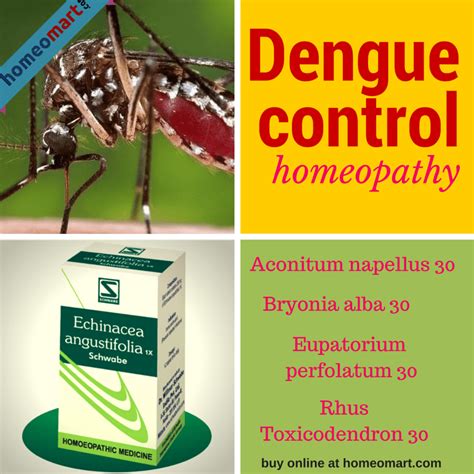 treatment of dengue in homeopathy