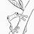 tree frog coloring page