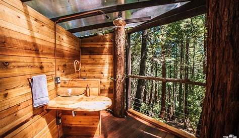 Pinecone-shaped treehouse provides 360 -degree views of Redwood forest