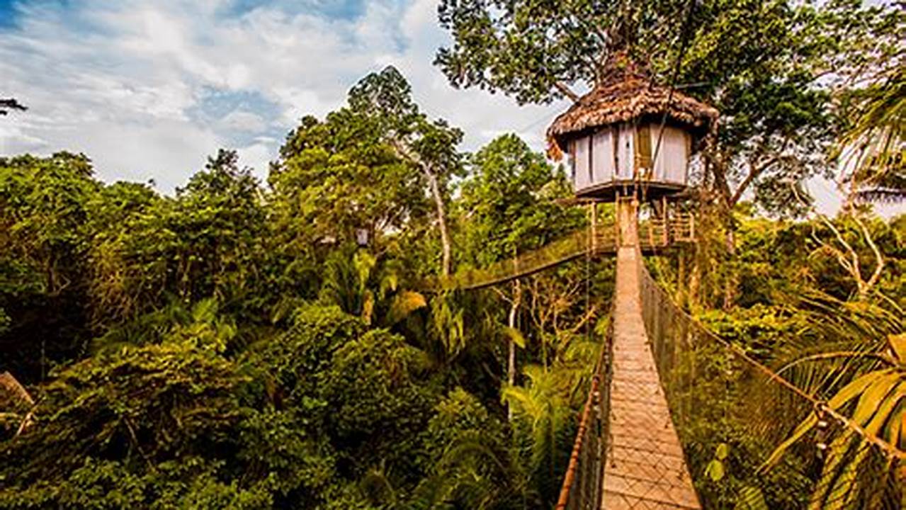Immerse in the Amazon: A Guide to Unforgettable Tree House Stays
