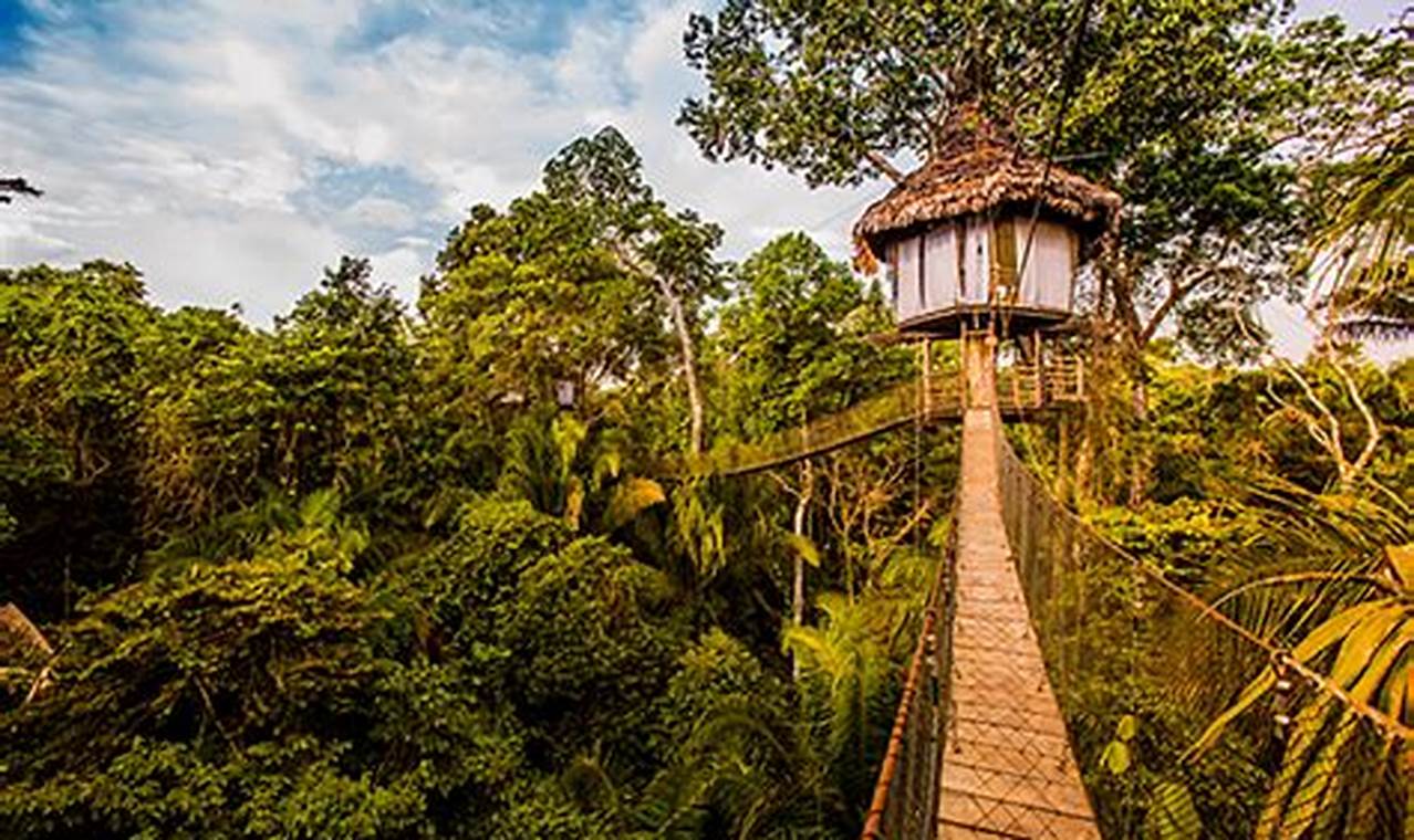 Immerse in the Amazon: A Guide to Unforgettable Tree House Stays
