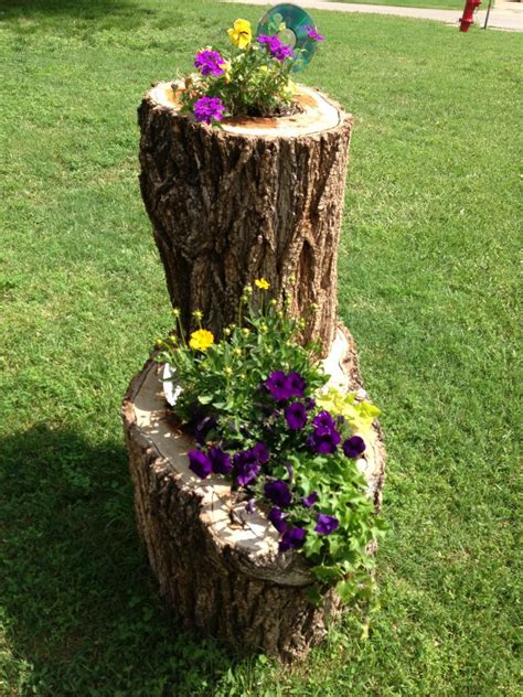 How to Make Your Own Tree Stump Planter DIY projects for everyone!